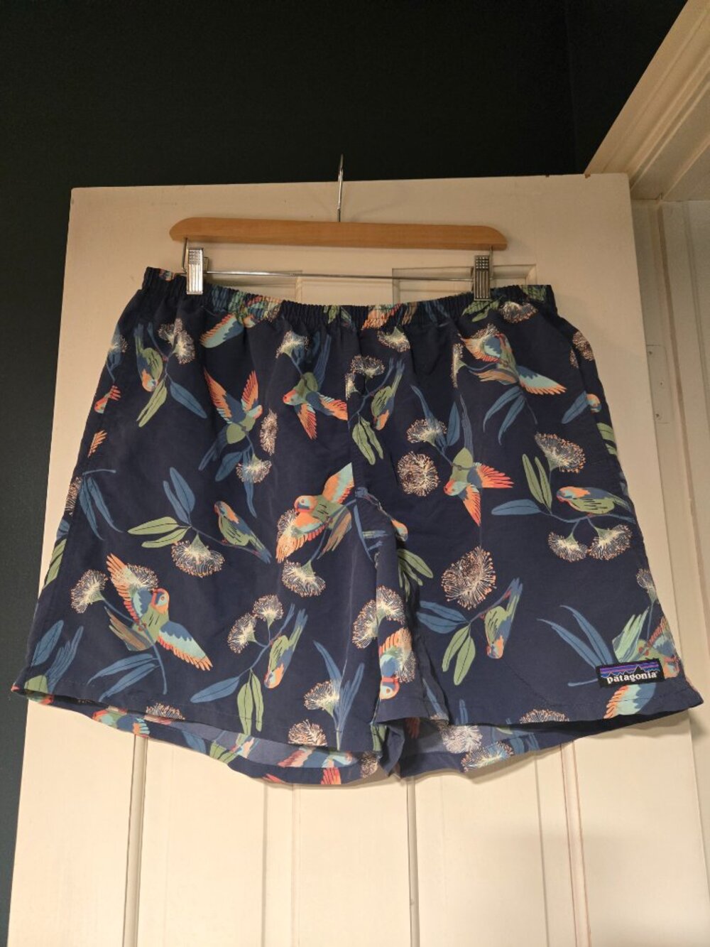 Patagonia Men’s Swim Trunks- Birds of Paradise- XL with Liner